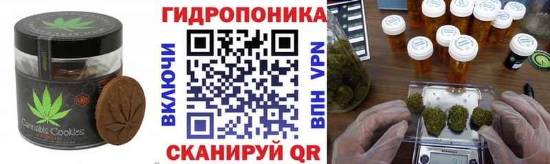 ОМГ ОМГ маркетплейс Вичуга Cannafood марихуана
